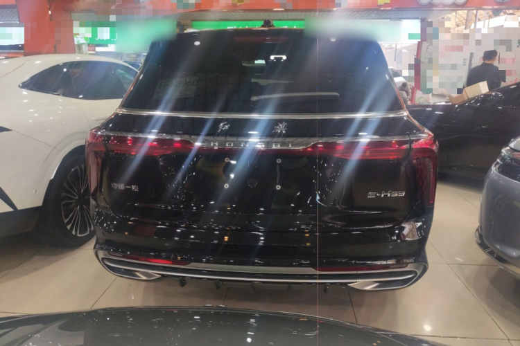 红旗E-HS9 2021款 460km 旗享版 六座车身外观6