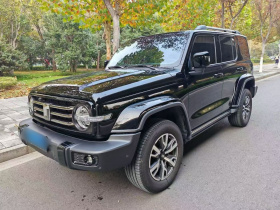 坦克300 2024款 2.0T 穿越者