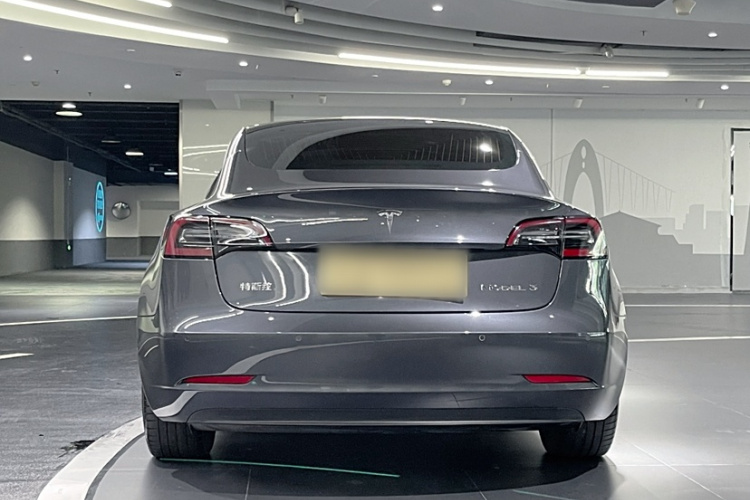 特斯拉 Model 3 2020款 改款 长续航后轮驱动版车身外观6003
