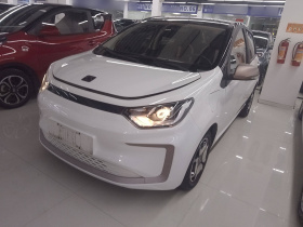 思皓 2022款 花仙子款 满天星