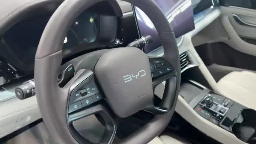 比亚迪 宋PLUS新能源 2025款 EV 520km 尊贵型实拍1