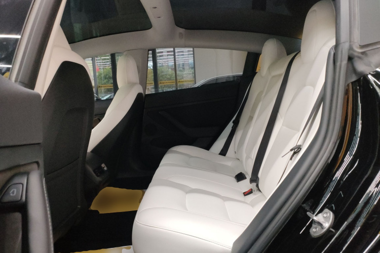 特斯拉 Model 3 2021款 标准续航后驱升级版 3D6中控内饰21