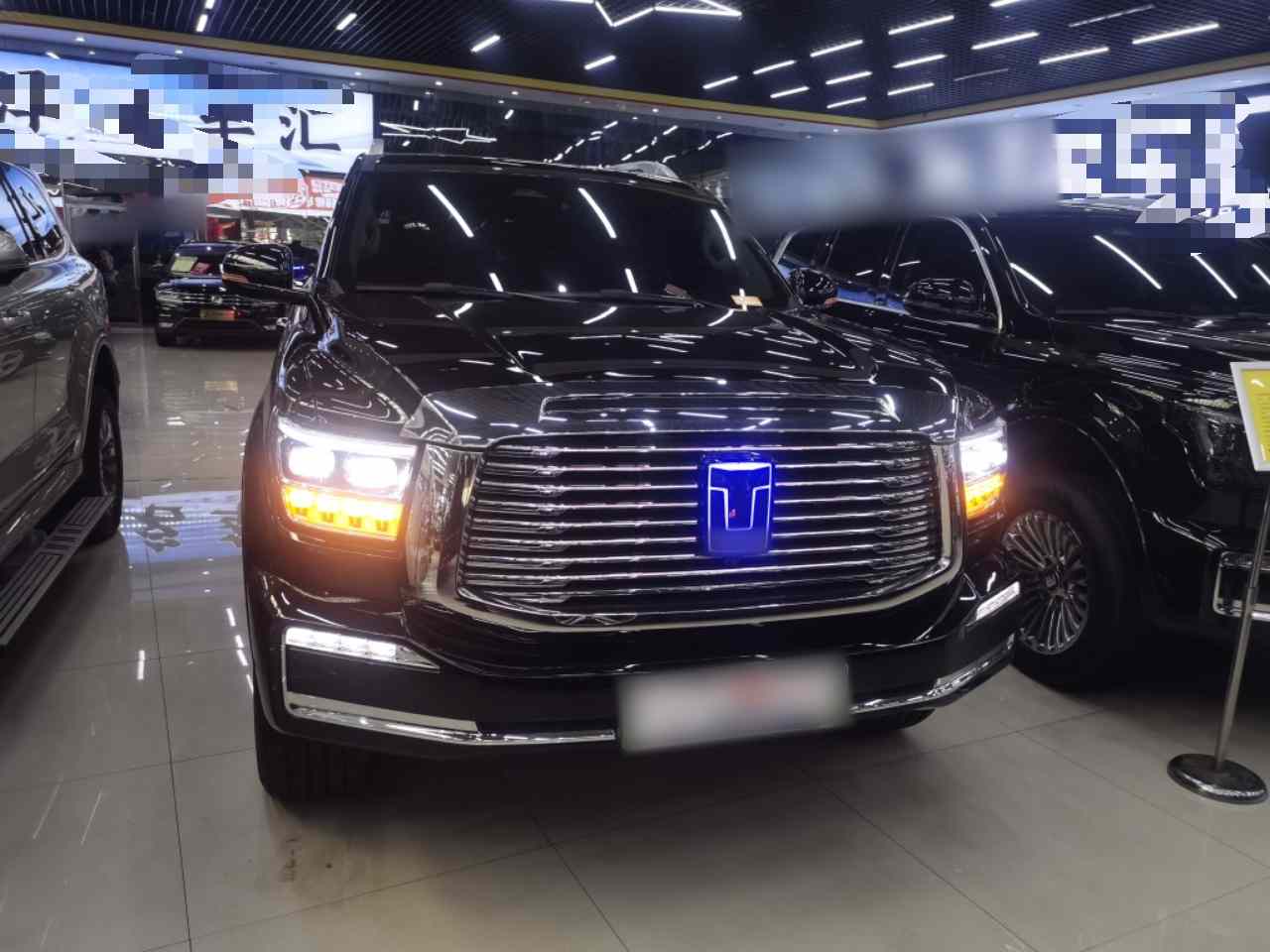 坦克500新能源 2024款 Hi4-T(1)