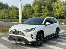 丰田 RAV4荣放 2020款 2.0L CVT两驱尊贵版