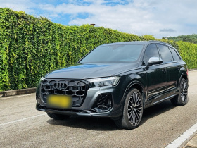 奥迪SQ7 2024款 4.0 TFSI