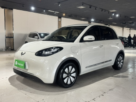 五菱汽车 五菱缤果 2023款 333km 悦享+款