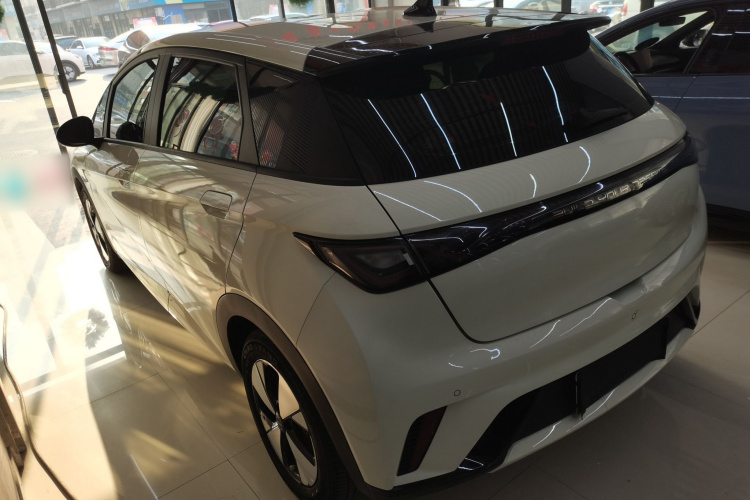 比亚迪 海豚 2023款 420km 自由版车身外观4