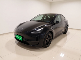 特斯拉 Model Y 2021款 标准续航后驱版