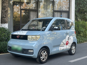 五菱汽车 宏光MINIEV 2020款 轻松款 磷酸铁锂