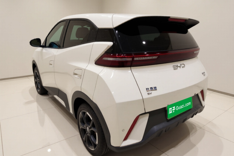 比亚迪 海鸥 2025款 305km 自由版车身外观5