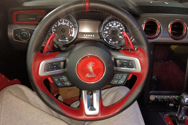 福特Mustang（平行进口） 局部细节13