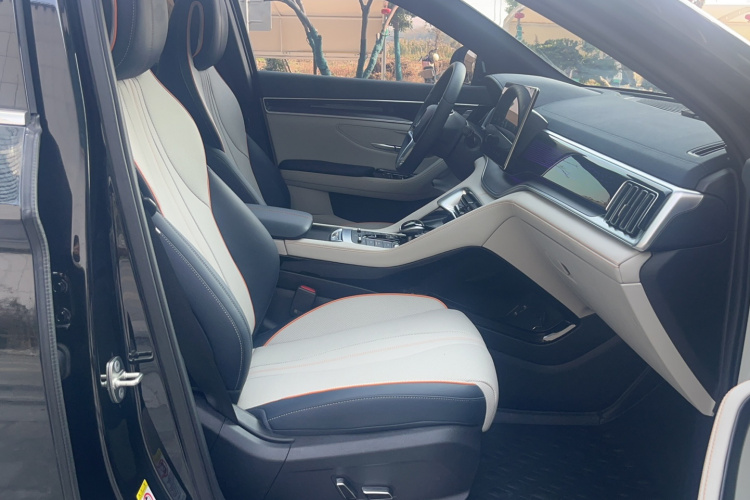 比亚迪 宋PLUS新能源 2021款 EV 旗舰型局部细节41