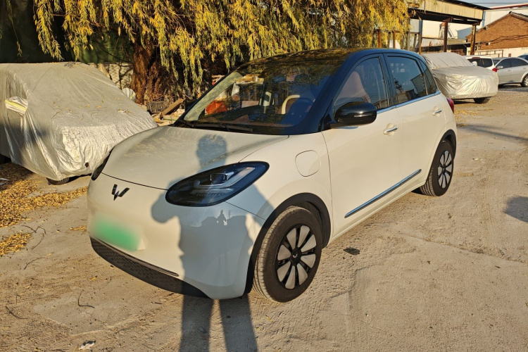 五菱汽车 五菱缤果 2023款 333km 灵犀互联款车身外观1