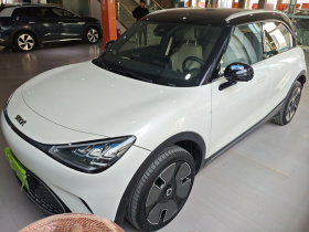 smart精灵#1 2024款 灵动豪华版