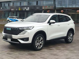 哈弗H6新能源 2023款 DHT-PHEV 110KM 畅行版
