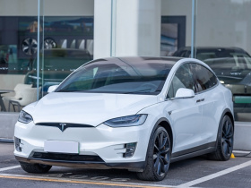 特斯拉 Model X 2020款 长续航升级版
