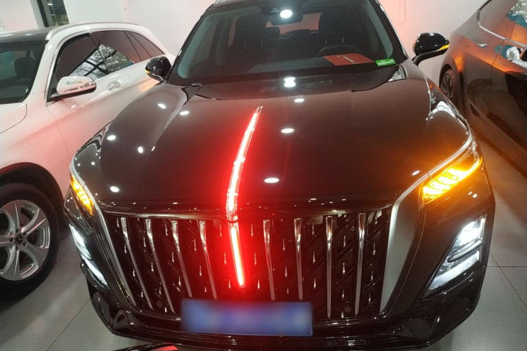 红旗HS5 2023款 2.0T 旗享Pro版车身外观2