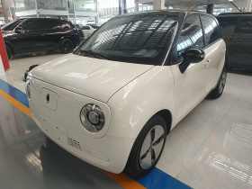 欧拉黑猫 2021款 301km 基础型