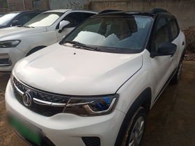 东风纳米EX1 2021款 质灵版