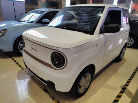 吉利银河 2024款 熊猫mini 200km 耐力熊