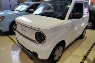 吉利银河 2024款 熊猫mini 200km 耐力熊