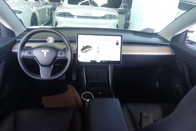 特斯拉 Model 3(进口) 2019款 长续航全轮驱动版中控内饰7002