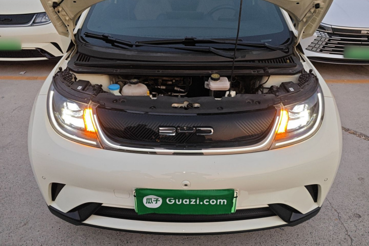 比亚迪 海豚 2023款 420km 时尚版机舱底盘24