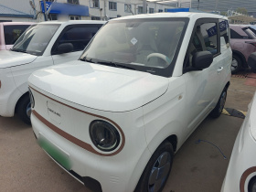 吉利银河 2024款 熊猫mini 200km 耐力熊