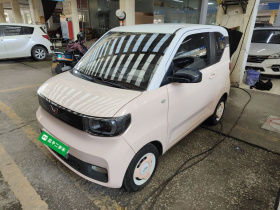 五菱汽车 宏光MINIEV 2021款 马卡龙臻享款 磷酸铁锂