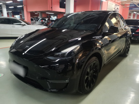 特斯拉 Model Y 2023款 长续航全轮驱动版