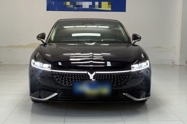 岚图汽车 岚图追光 2024款 PHEV 四驱超长续航旗舰版车身外观6001