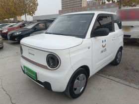 吉利银河 2023款 熊猫mini 120km 超萌熊