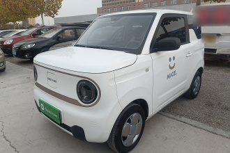 吉利银河 2023款 熊猫mini 120km 超萌熊