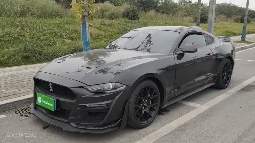 福特 Mustang 2019款 2.3L EcoBoost检测视频1