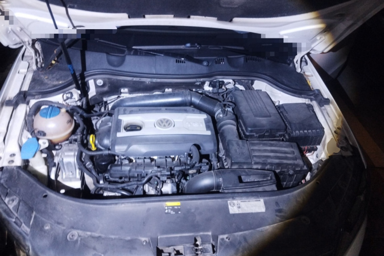 大众 迈腾(进口) 2012款 旅行版 2.0TSI 舒适型局部细节24