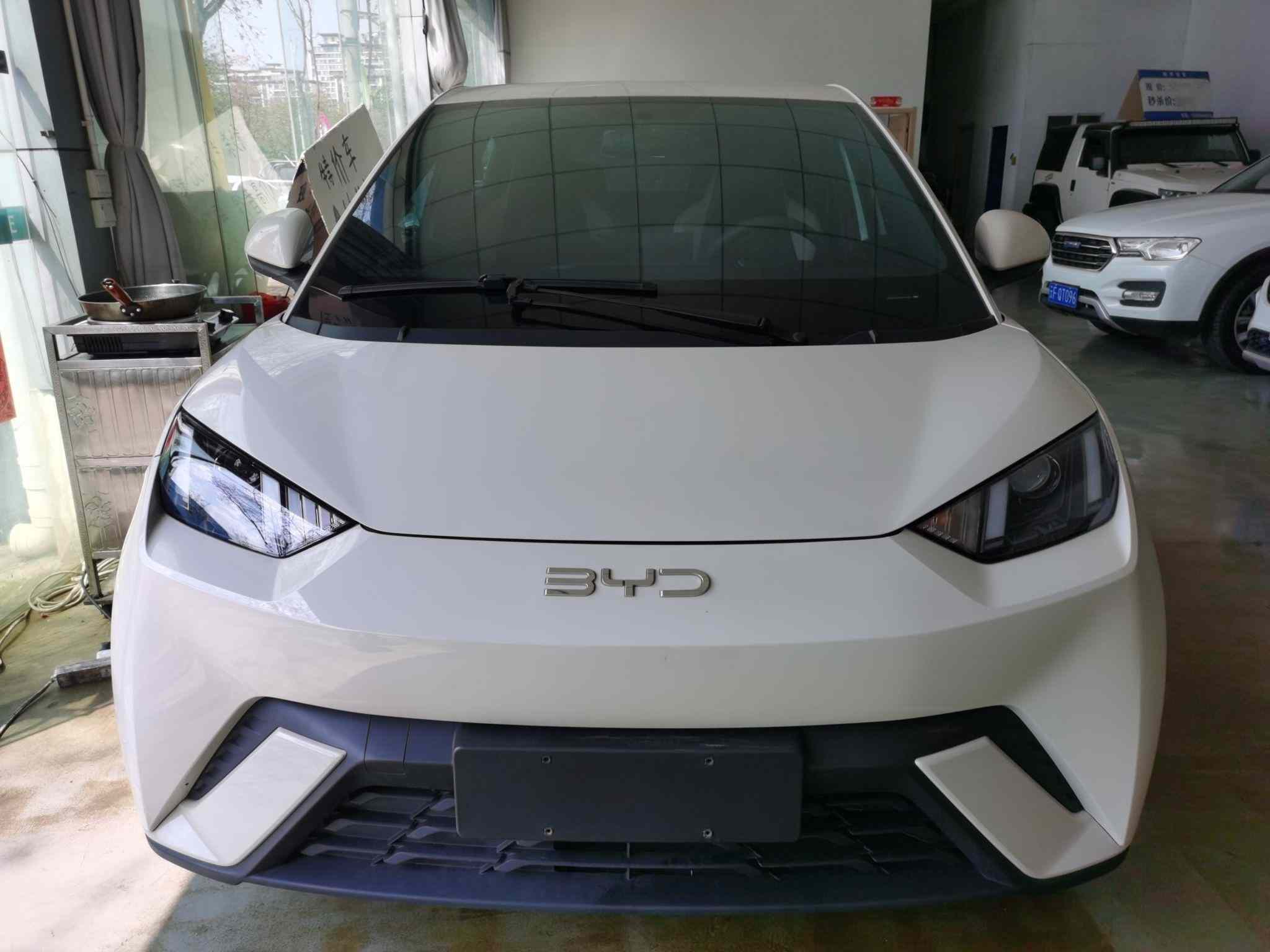 比亚迪 海鸥 2024款 荣耀版 305km 活力版(1)