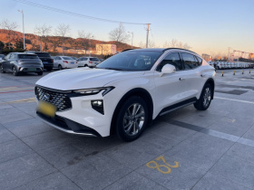 福特 EVOS 2022款 EcoBoost 245 风尚版