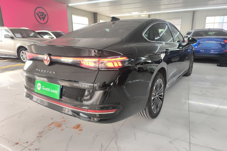 大众 迈腾 2024款 380TSI DSG尊贵版大迈包车身外观7