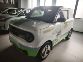 吉利银河 2023款 熊猫mini 200km 灵动熊