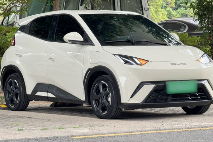 比亚迪 海鸥 2023款 自由版车身外观6003