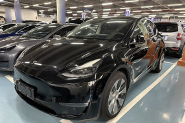 特斯拉 Model Y 2021款 长续航全轮驱动版