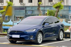 特斯拉 Model X 2019款 长续航版