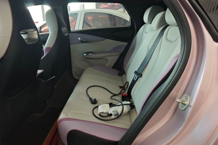 比亚迪 海豚 2021款 405km 时尚版中控内饰7004