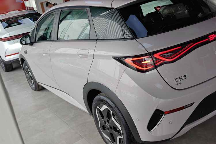 比亚迪 海豚 2025款 智驾版 420km 自由版车身外观4