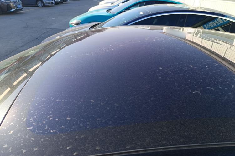 特斯拉 Model 3(进口) 2019款 长续航后驱版局部细节57