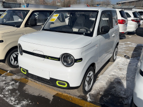 吉利银河 熊猫 2025款 210km 元气熊