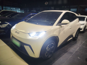 比亚迪 海鸥 2024款 荣耀版 405km 飞翔版