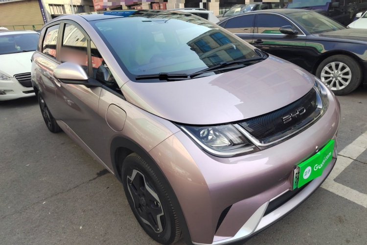 比亚迪 海豚 2021款 405km 自由版车身外观3