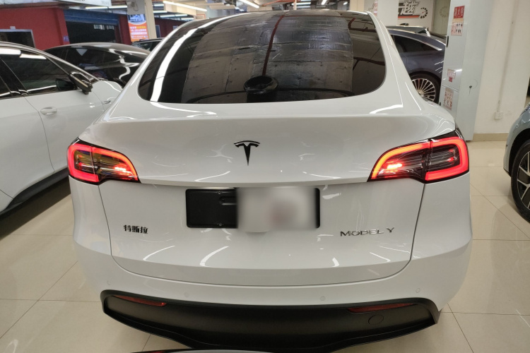 特斯拉 Model Y 2021款 长续航全轮驱动版车身外观6