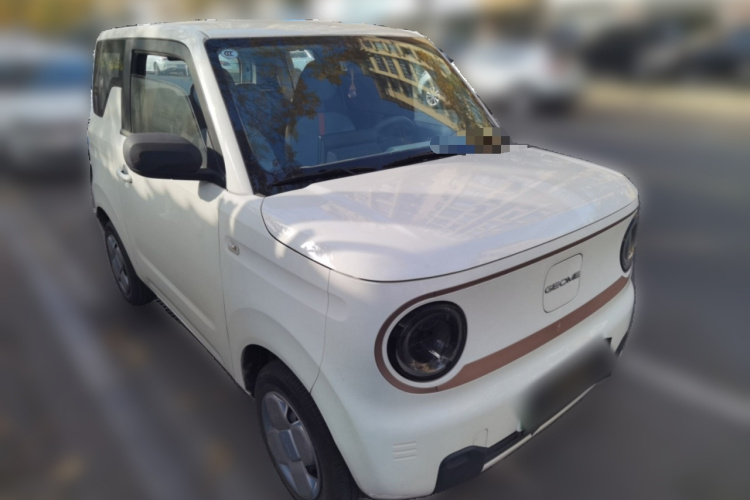 吉利银河 2023款 熊猫mini 120km 萌萌熊车身外观6002